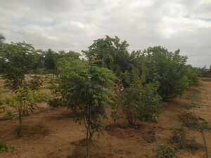  Plot For Sale in Kompally