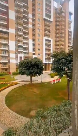 3 BHK Builder Floor – Garden View at Sector 50 - for Rent