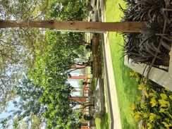 3 BHK +Apartment For Rent in Aparna Zenon
