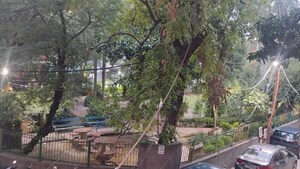 2 BHK Apartment – Garden View at Lajpat Nagar - for Rent