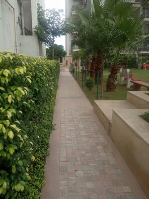 3 BHK Apartment For Rent in Tulip White, Sector 69