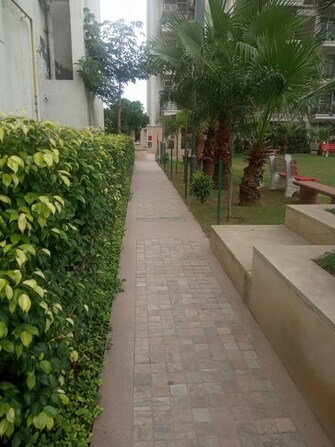 3 BHK 1326 Sq.Ft. Apartment in Tulip White