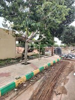1650 Sq.Ft. Plot in Reliaable Gardeniaa