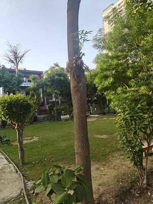 3 BHK Independent House – Garden View at Vasundhara - for Sale