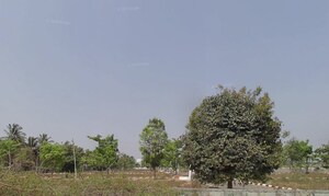  Land For Sale in Malur