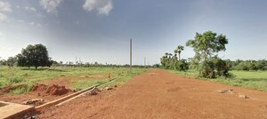  Land For Sale in Danavaipet