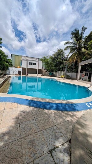 2 BHK Apartment For Rent in Hsr Layout