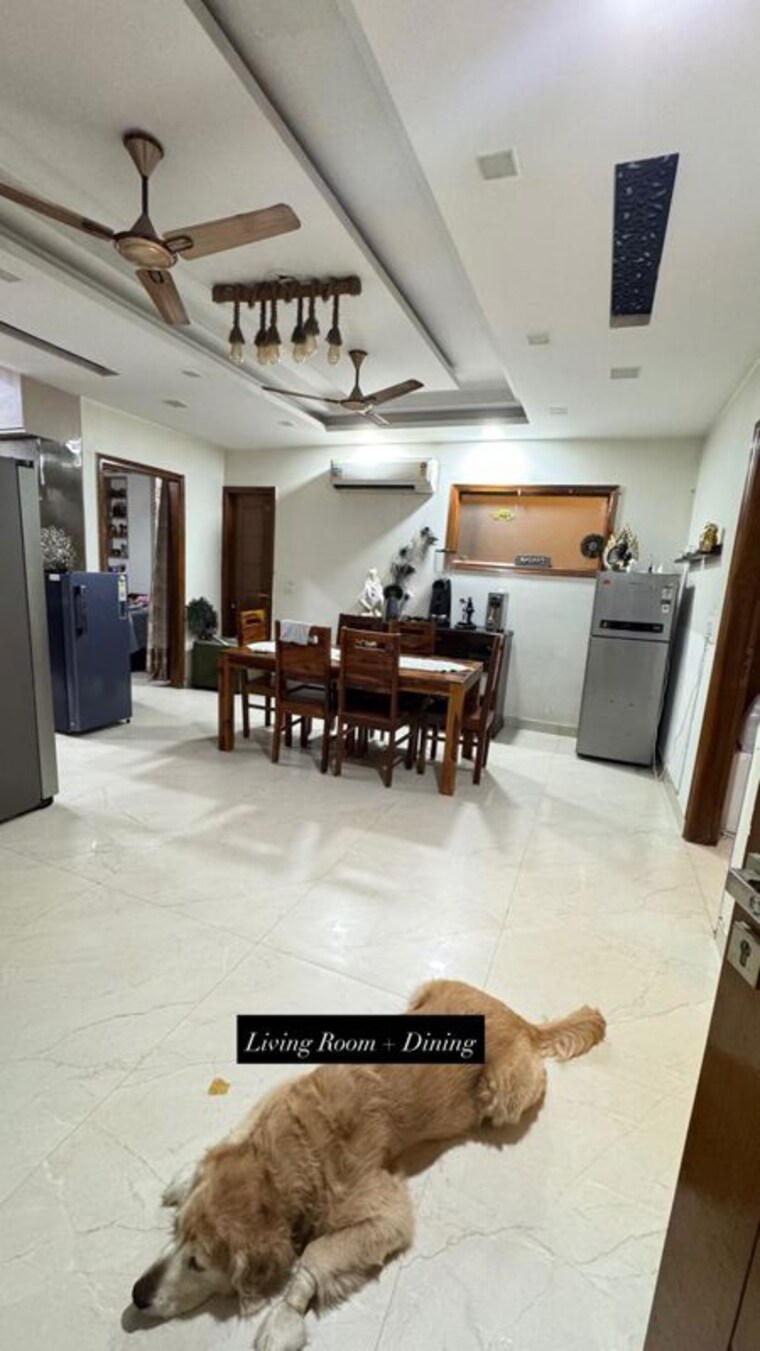Living Room, sector 57 4 Bedroom 263 Sq.Yd. Builder Floor In Sector 57 Gurgaon 10670327