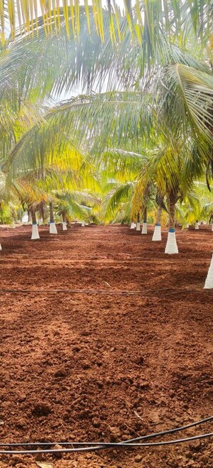  Land For Sale in Kinathukadavu