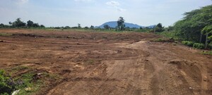  Land For Sale in Shabad