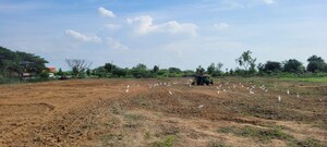Plot Area in  Land at Shabad – for Sale