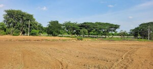 Plot Area in  Land at Shabad – for Sale