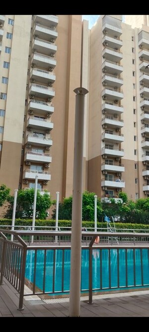 4 BHK Apartment For Rent in Wave Amore, Sector 32