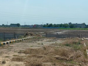 Plot Area in  Plot at TDI South Extension II, Mohali Sector 117 – for Sale