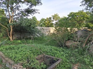 Plot Area in  Plot at Banjara Hills – for Sale