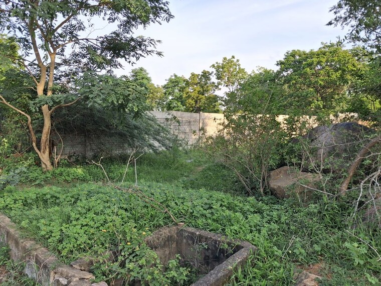 undefined, banjara hills  500 Sq.Yd. Plot In Banjara Hills Hyderabad 10671034