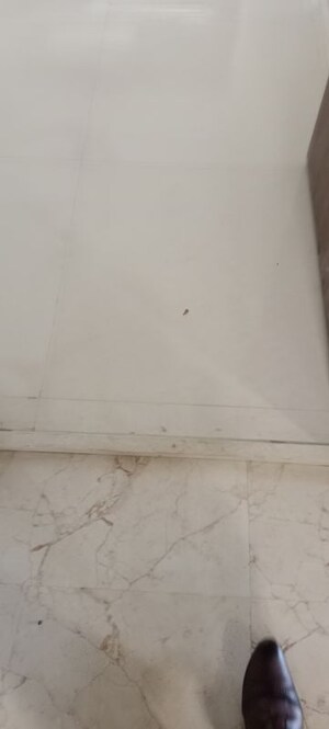 Room in 2 BHK Apartment at Worli – for Rent