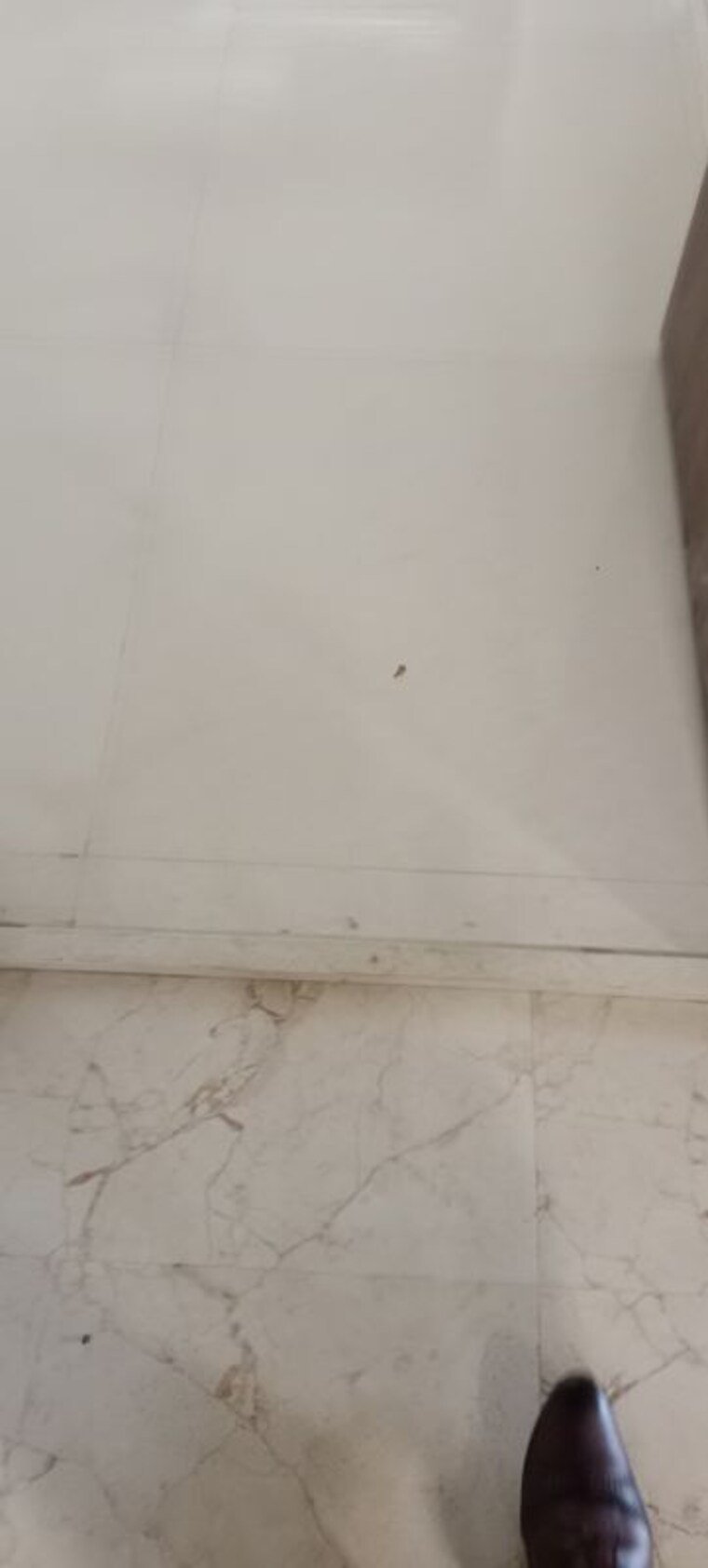 Room, worli 2 Bedroom 950 Sq.Ft. Apartment In Worli Mumbai 10671055
