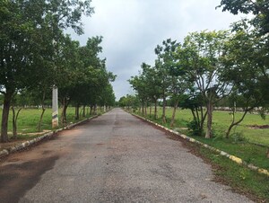 Plot Area in  Plot at CBC Lorven Platina, Nandiwanaparthy – for Sale
