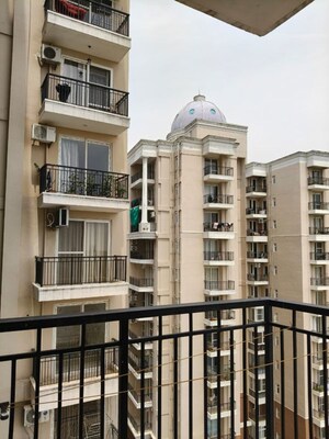 3 BHK Apartment For Sale in Ambika Florence Park, North Mullanpur