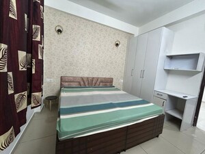 1 BHK Apartment For Rent in Barnala Green Lotus Avenue, Ambala Highway