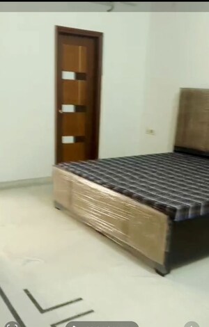 1 BHK Builder Floor For Rent in Model Town