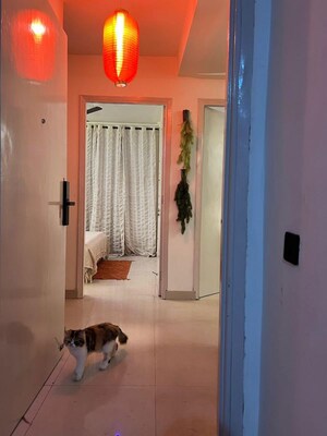  2 BHK Builder Floor at Saket – for Rent