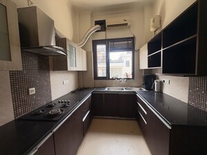 Kitchen in 3 BHK Builder Floor at Sector 21 – for Rent