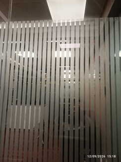 2 BHK +Apartment For Rent in DLF The Princeton Estate