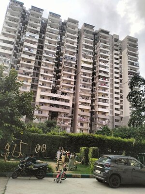2 BHK Apartment For Rent in SCC Sapphire, Raj Nagar Extension