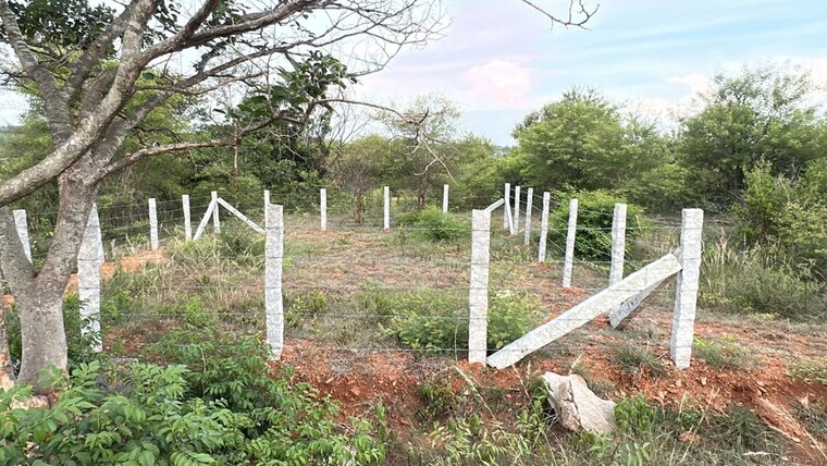 undefined, bidadi  1200 Sq.Ft. Plot In Bidadi Bangalore 10672074