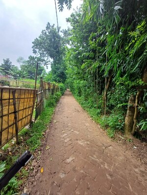  Independent House – Exterior View View at Dharmanagar - for Sale