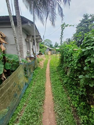  Independent House – Exterior View View at Dharmanagar - for Sale
