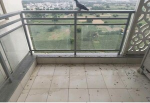 Furnished Amenities in 3 BHK Apartment at DLF The Ultima, Sector 81 – for Rent
