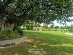 263 Sq.Yd. Plot in Sector 46