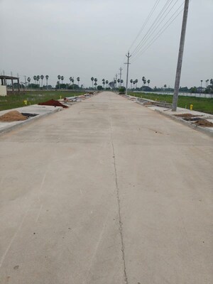  Plot For Sale in Pathapadu