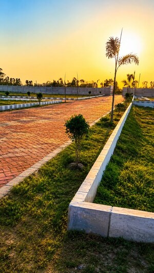 Plot Area in  Plot at Behta – for Sale