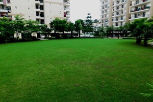 3 BHK Apartment – Exterior View View at Highland Park Chandigarh, Bhabat - for Rent