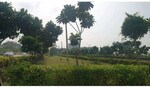 104 Sq.Yd. Plot in Mapsko Aspr Hills