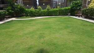 3 BHK Independent House – Garden View at Olpad - for Sale