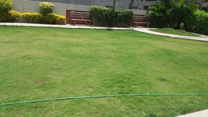 3 BHK Independent House – Garden View at Olpad - for Sale