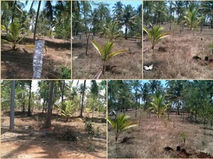 Plot Area in  Plot at Shambhunahally – for Sale