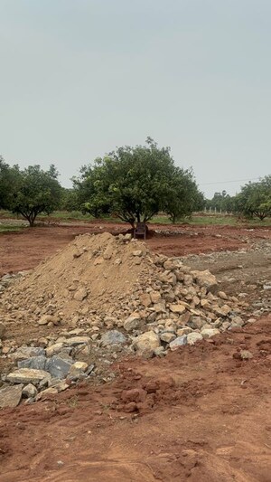Plot Area in  Plot at Surampalli – for Sale