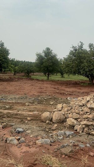 Plot Area in  Plot at Surampalli – for Sale