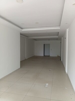 Hall in  Showroom at Barnala Green Lotus Avenue, Ambala Highway – for Rent