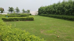  Plot – Garden View at Jewar - for Sale