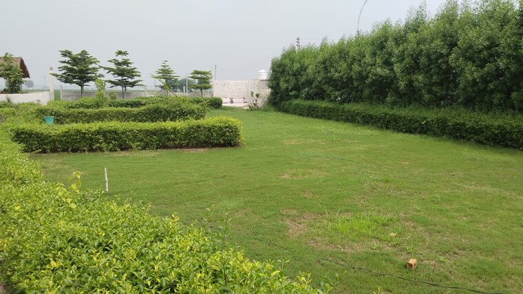 Garden, jewar  100 Sq.Yd. Plot In Jewar Greater Noida 10673647