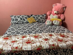 1 RK Builder Floor For Rent in Lajpat Nagar