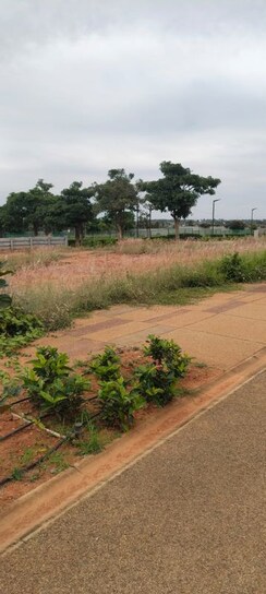 Plot For Sale in Embassy Springs Plots