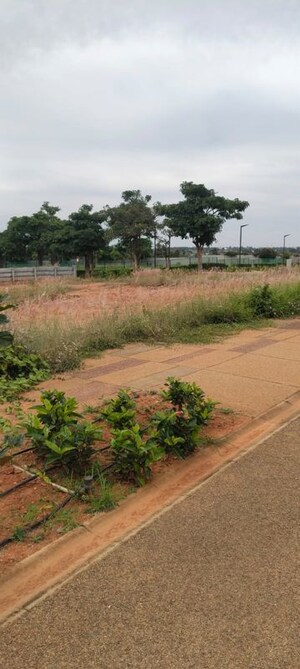  Plot For Sale in Embassy Springs Plots, Devanahalli